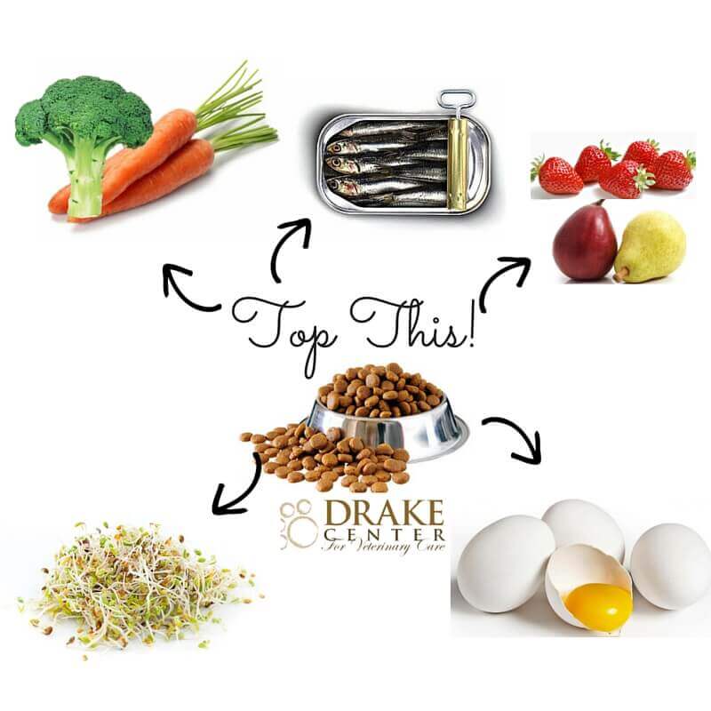 Top This 5 Healthy Dog Food Toppers