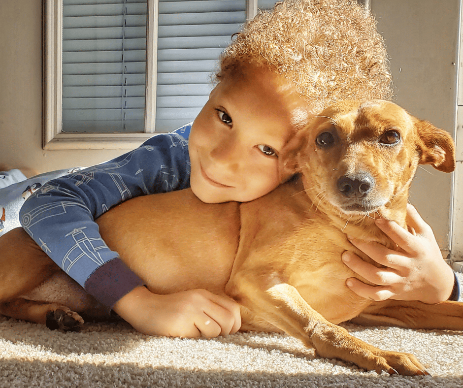 Dog and child hugging on floor