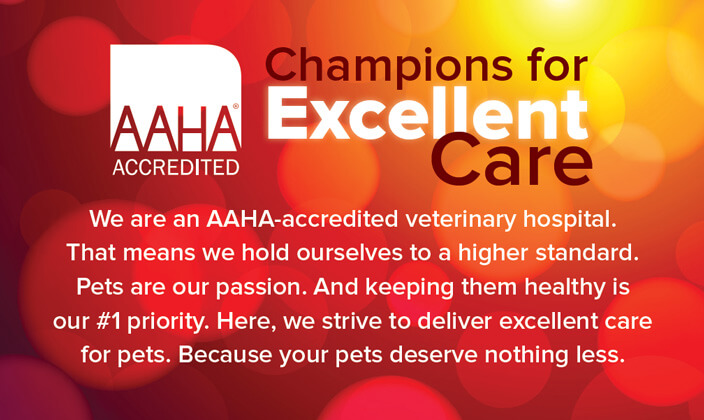 AAHA Accredited