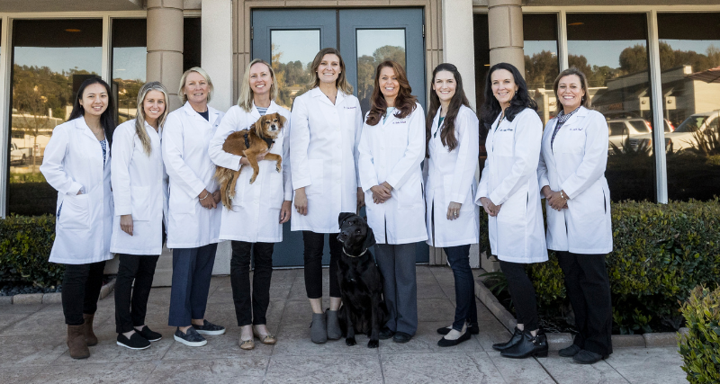 The Drake Center Has Been Voted the Best Vet Clinic of 2021!