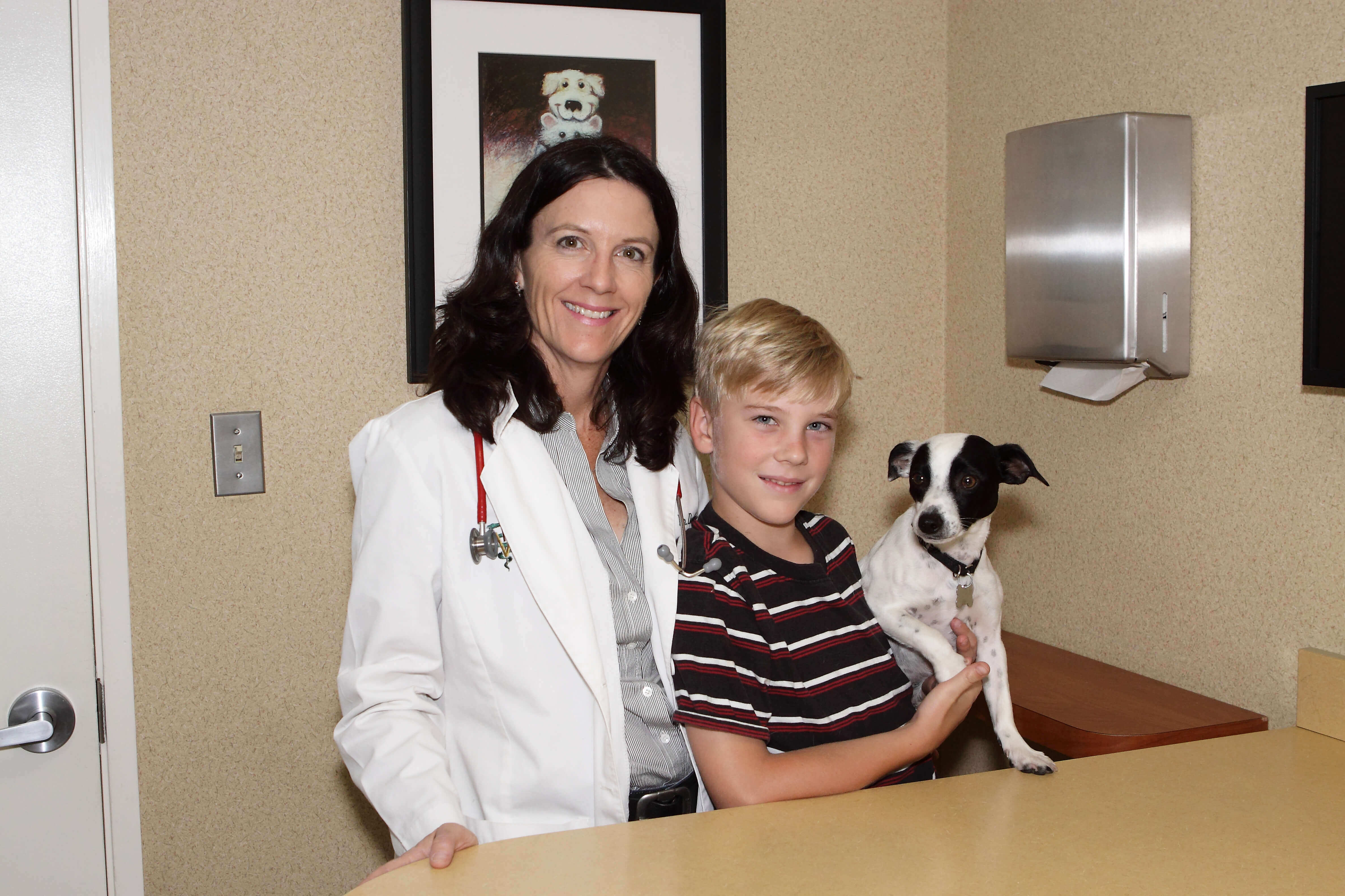 We've Been AAHA-Accredited (Again)!