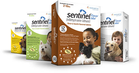 Sentinel Now In Stock!