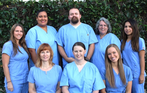 Why Your Pet Needs a Vet Tech (and You Do, Too!)