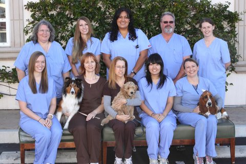 National Veterinary Technician Week is October 14-20