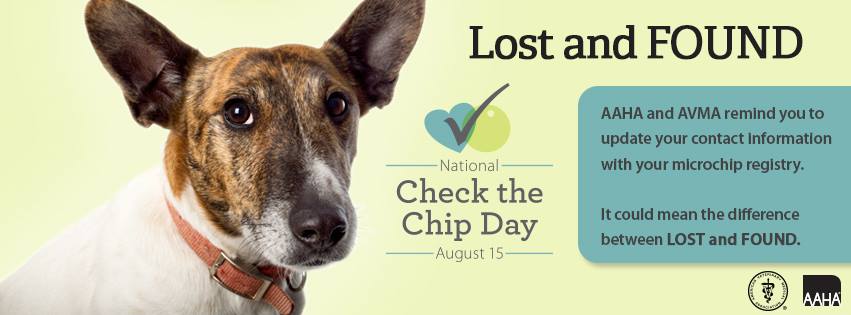 August 15 Is National Check The Chip Day