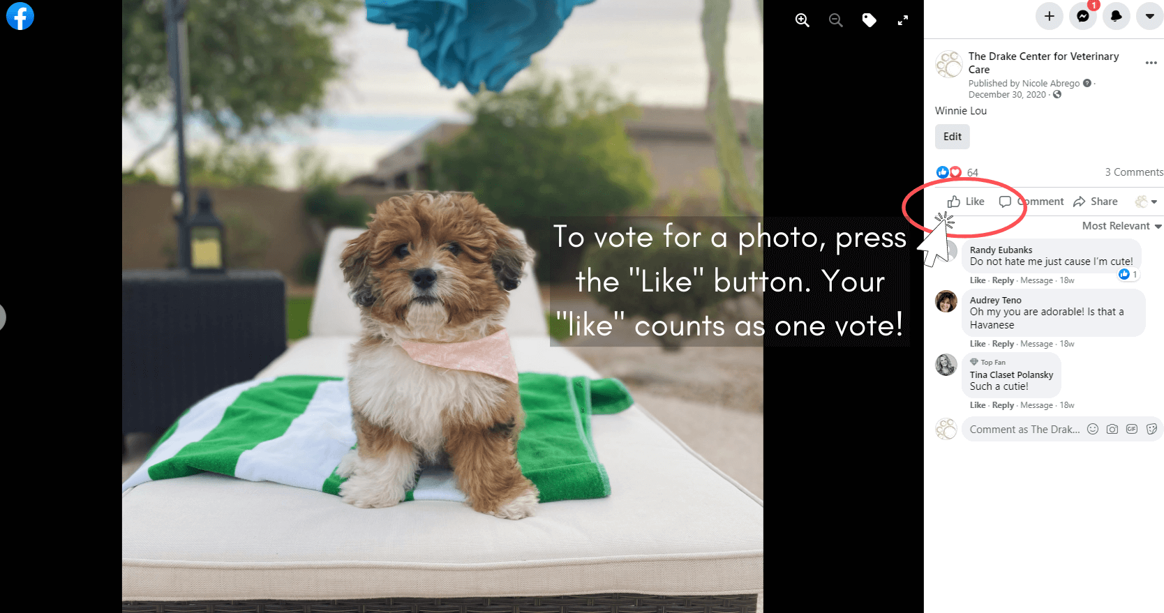 how to vote
