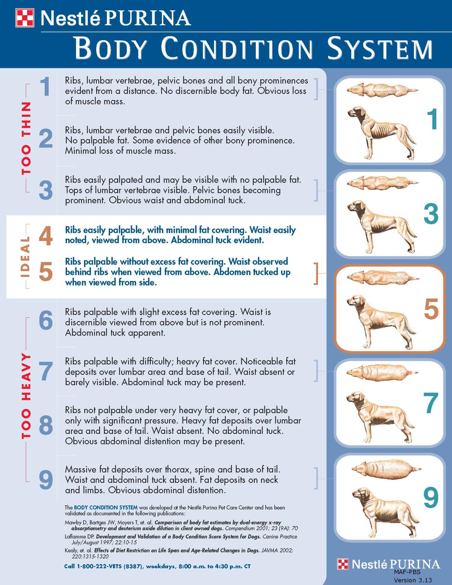 Canine Body Condition Score Chart
