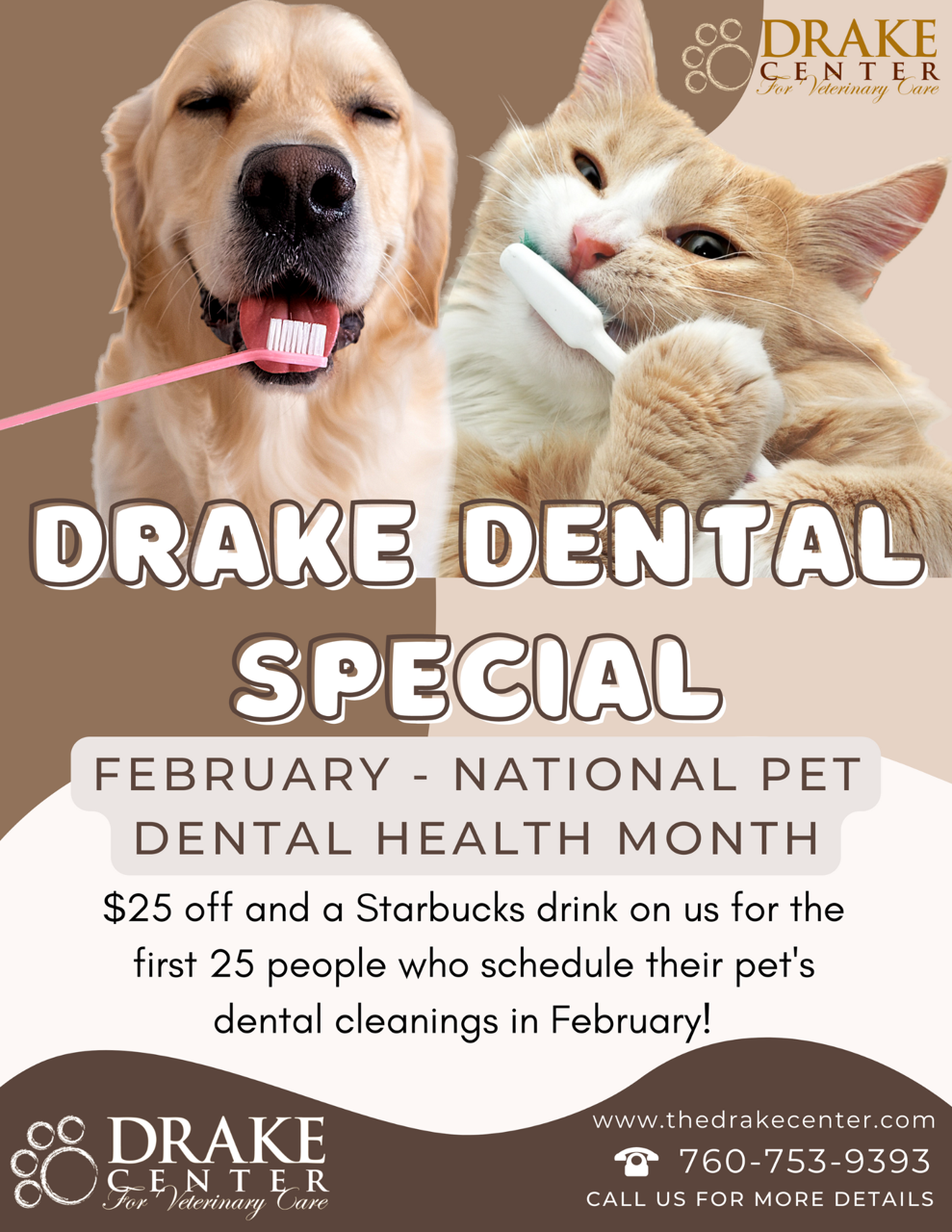 Encinitas Vet Dental for pets