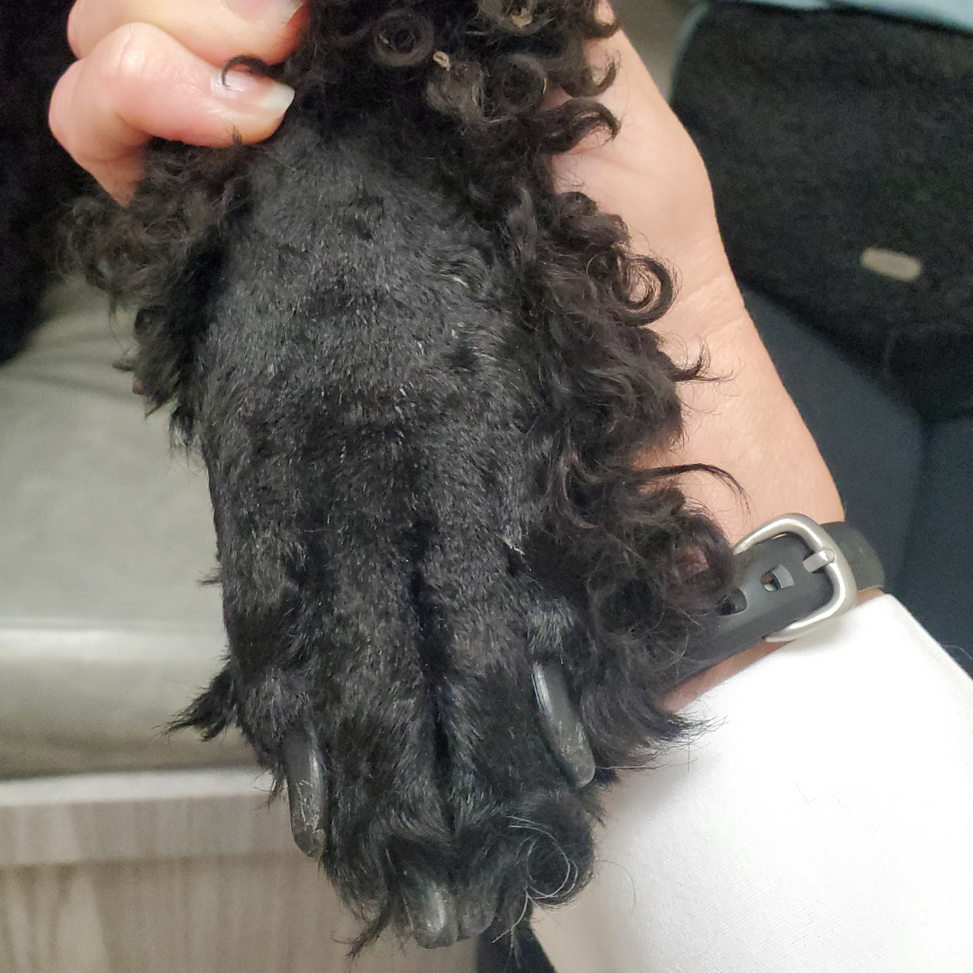 Huey After