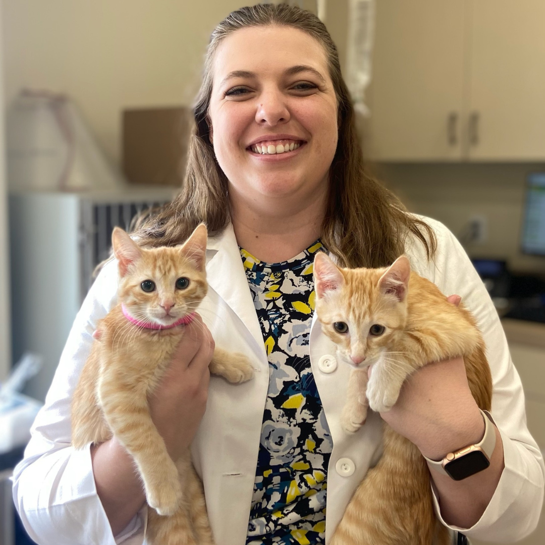 Dr. VanWorth holding two cats