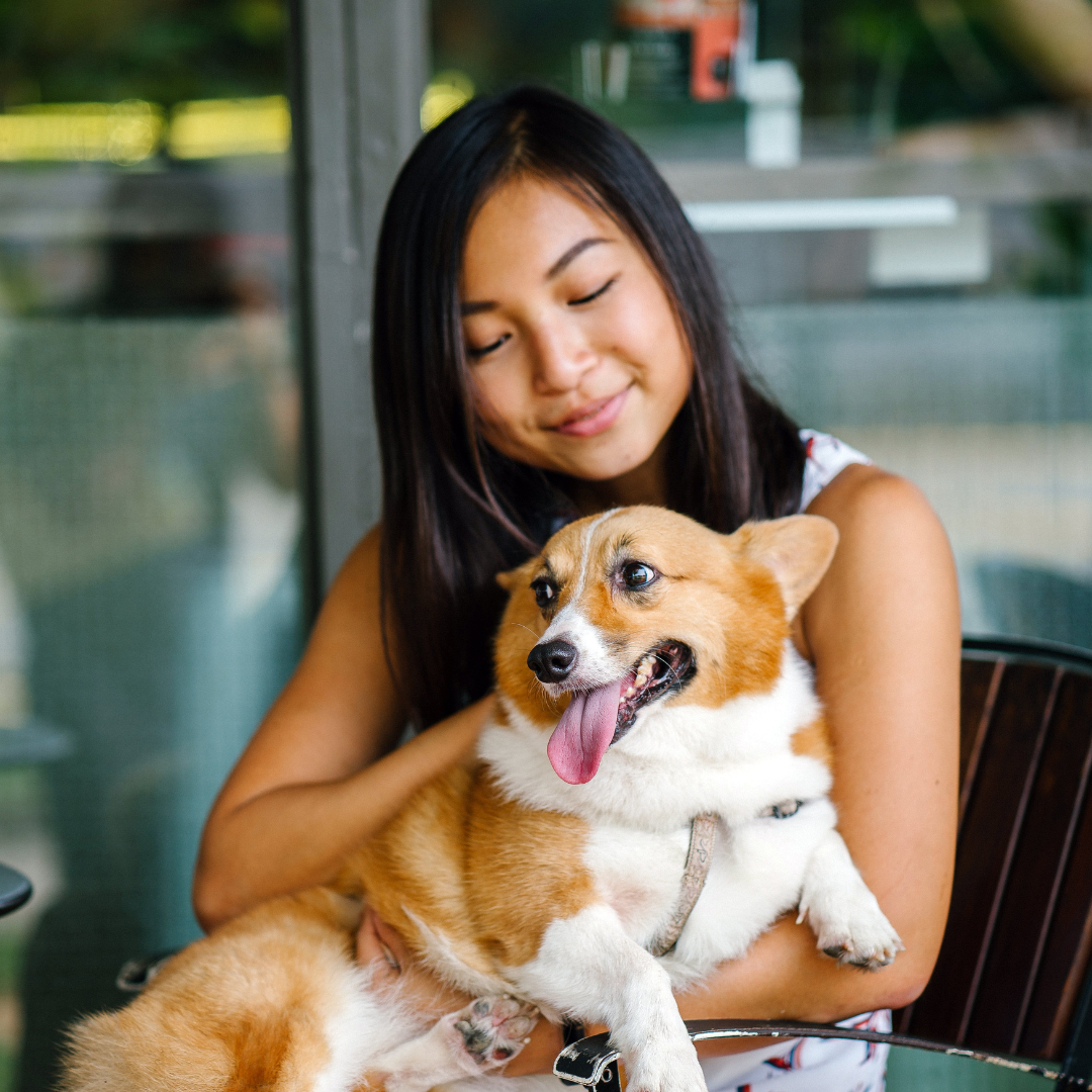 Woman holding dog at restaurants outdoor seating