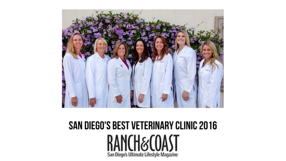 2016 Best of San Diego: Veterinary Clinic Winners!