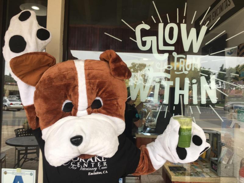 Nekter Fundraiser for Good Dog! Autism Companions