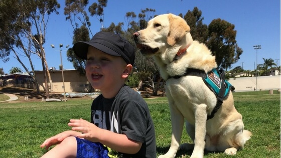 Good Dog Fundraising: End of the Year Update