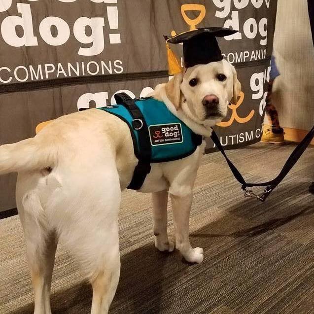 Good Dog! Flinn Graduates