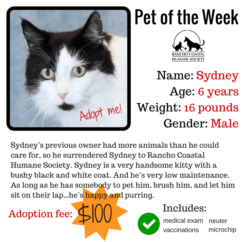 RCHS Pet of the Week
