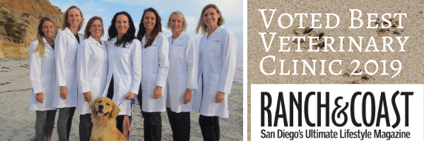 The Drake Center Awarded Best Veterinary Clinic 2019