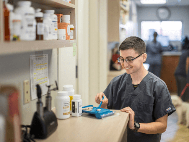 veterinarian in encinitas
