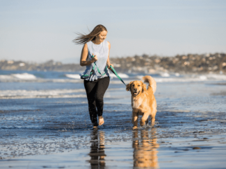 veterinarian in encinitas veterinarian in encinitas