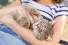 veterinary care in encinitas