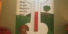 your encinitas veterinarian