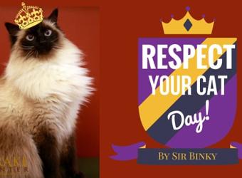 Binky's Blog: National Respect Your Cat Day