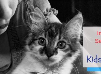 Safety Tips for Kids and Cats