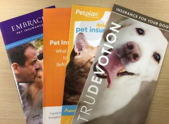 Pet Insurance