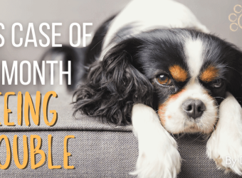 Dr. K's Case of the Month: Seeing Trouble