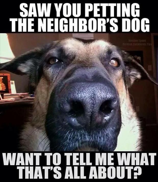 pets fun facts